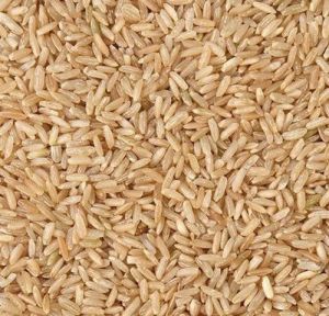 Organic Brown Basmati Rice, Packaging Size : 50-100kg