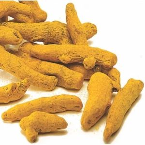 Organic Erode Turmeric Finger, Color : Yellow