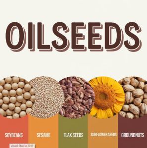 Oil Seeds