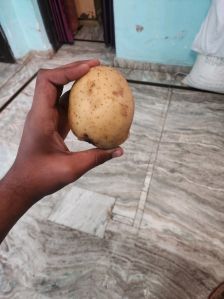 Chipshona 3 Potato