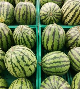 Organic Watermelon, Shape : Oval For Human Consumption