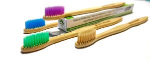 Bamboo Toothbrush