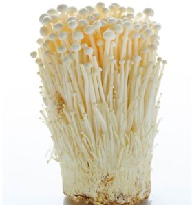 Natural Enoki Mushroom, Color : White, Packaging Size : 1Kg