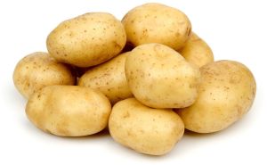 Natural Fresh Potato, Color : Brown, Packaging Type : Bag for Cooking