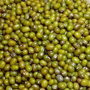 Natural Green Moong Dal, Packaging Size : 20Kg, Packaging Type : Bag