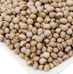 Natural Pigeon Pea Seeds, Packaging Type : Bag