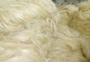 Sisal Fiber, Color : White, Packaging Type : Bales