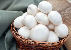 White Button Mushroom Fresh, Packaging Size : 1Kg