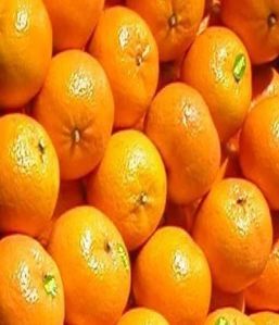 Natural Fresh Kinnow, Color : Orange, Grade : Food Grade