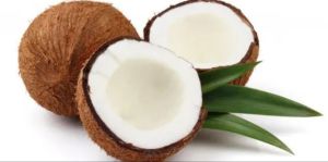 Natural Semi Husked Coconut, Color : Brown White for Human Consumption