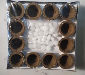 Khodiyar Kapoor Dani