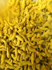 Yellow Turmeric Finger