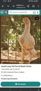 Chinese Jewellery, Packaging Type : Brown