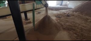 Sawdust Powder