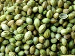 Coriander Seeds