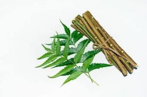 Neem Sticks