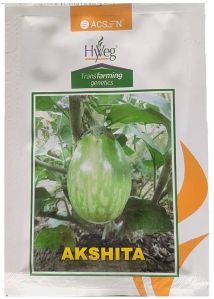 Brinjal Hyveg Akshita 10 Gm Seeds