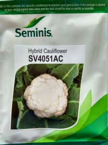 4051 Hybrid Seminis Cauliflower Seed