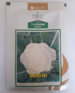 Natural Hyveg Cauliflower Damini Hybrid Seed, Color : White