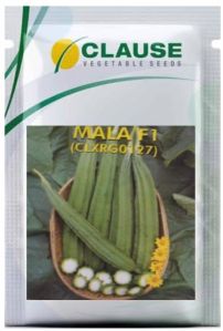 Clause Ridge Gourd Mala Seeds