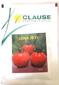 Clause Tomato Sona 38 f1 Seed