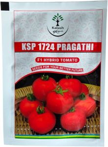 Ksp 1724 Pragathi Tomato Seeds