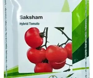 Seminis Saksham Hybrid Tomato Seed