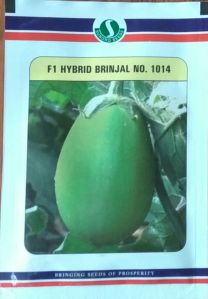 Sungro Brinjal Seeds No 1014