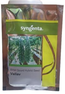 SYNGENTA VALLAV BITTER GOURD HYBRID SEEDS