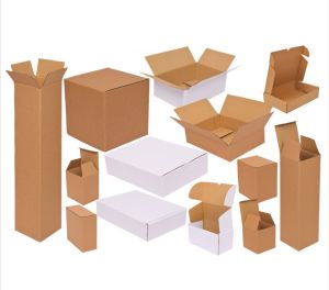 Liner Carton Boxes