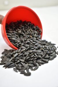 Black Sunflower Seeds