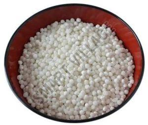 Sago Seeds, Color : White, Packaging Type : Plastic Bag