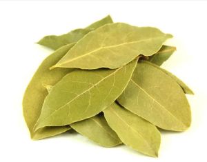 bay leaf