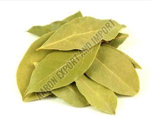 Natural Bay Leaf, Color : Green, Grade Standard : Food Grade