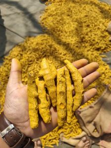 Finger Turmeric