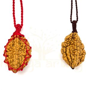 Handmade, Natural Two-Faces Rudraksha Bead Hand-Knotted Pendant