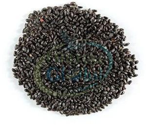 Basil Seeds, Color : Black, Packaging Type : Vaccum Bag For Health Supplement, Medicine