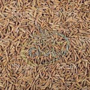 Brown Cumin Seeds For Cooking