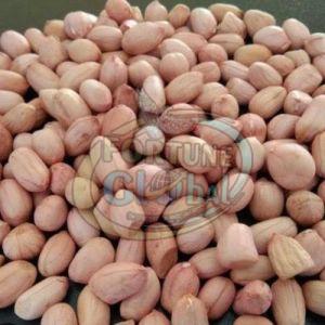 Disco 50/60 Bold Peanut 6%, Packaging Type : Bag, Packaging Size : 25-50 Kg