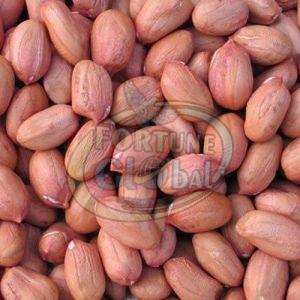 Mahalaxmi Bold Peanut, Color : Brown 5%, Packaging Type : Bag