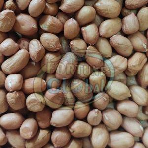 Peanut Groundnut Seeds, Packaging Size : 25kg, 50kg, Packaging Type : Bag For Human Consumption