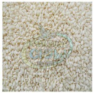 White Sesame Seeds, Packaging Type : Vaccum Bag For Cooking, Human Consumption