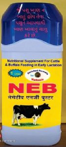 Neb Energy Booster