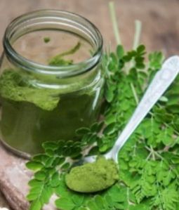 Moringa Leaves Powder