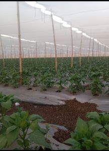 Black Netlon Rubber Insulation Sheet