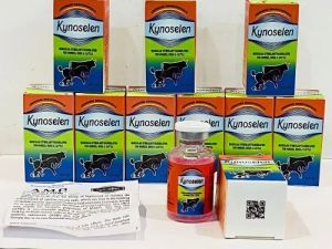 Kynoselen 20ml Injection, API Form : Liquid