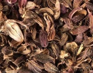 Black Cardamom Husk, Speciality : Intense Flavor, Aromatic