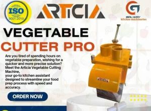 ARTICIA Vegetable Cutting Machine