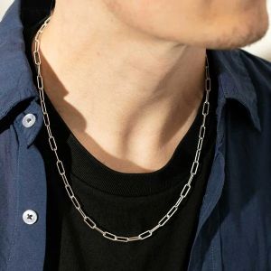 Rope Curv Silver Chain for Men