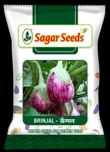 Brinjal Seed - BR1, Color : Green, Packaging Type : Packet